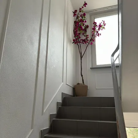 Apartamento Leimen51 Whg1